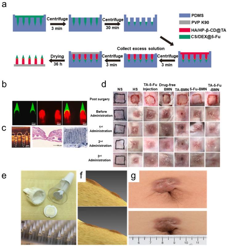 https://cdn.ncbi.nlm.nih.gov/pmc/blobs/2225/11722619/3d1a253ef88b/polymers-17-00108-g004.jpg