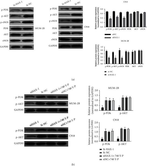 https://cdn.ncbi.nlm.nih.gov/pmc/blobs/2225/9122716/8b6b43f18019/JO2022-2956888.005.jpg