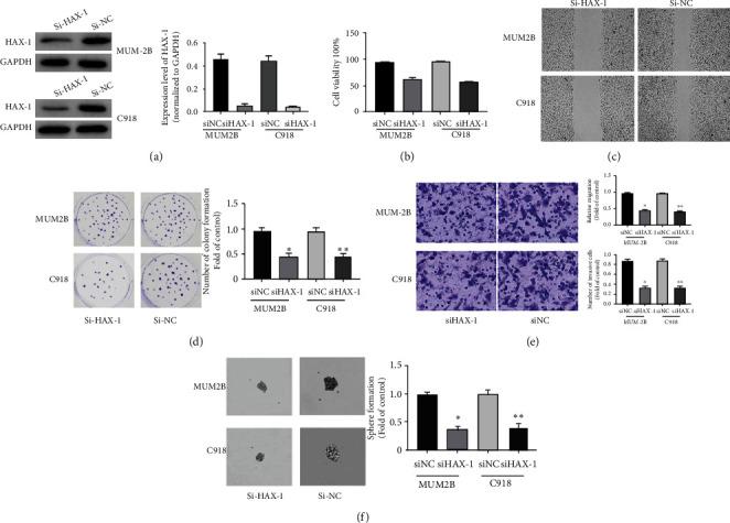 https://cdn.ncbi.nlm.nih.gov/pmc/blobs/2225/9122716/f9f4f2480e58/JO2022-2956888.003.jpg
