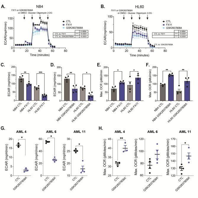 https://cdn.ncbi.nlm.nih.gov/pmc/blobs/2226/12090514/611ae0ddf713/40170_2025_392_Fig2_HTML.jpg