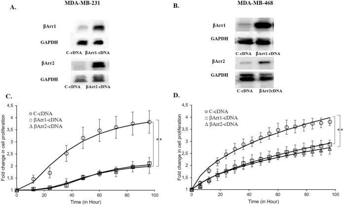 https://cdn.ncbi.nlm.nih.gov/pmc/blobs/2226/7810837/67810513f521/41598_2021_80974_Fig4_HTML.jpg