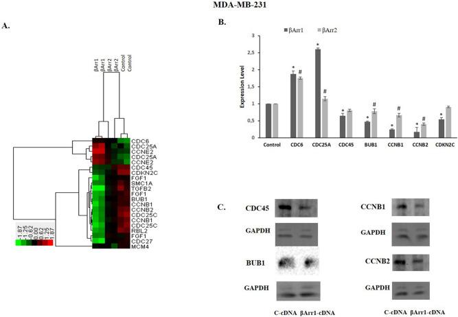 https://cdn.ncbi.nlm.nih.gov/pmc/blobs/2226/7810837/84d057cec085/41598_2021_80974_Fig6_HTML.jpg