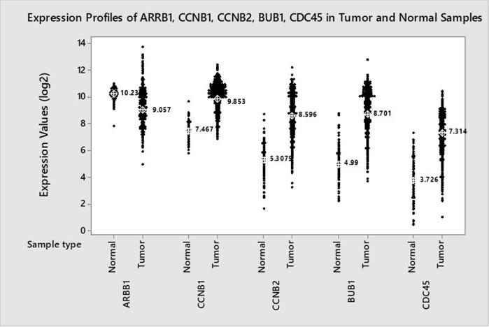 https://cdn.ncbi.nlm.nih.gov/pmc/blobs/2226/7810837/f5d434334e77/41598_2021_80974_Fig7_HTML.jpg
