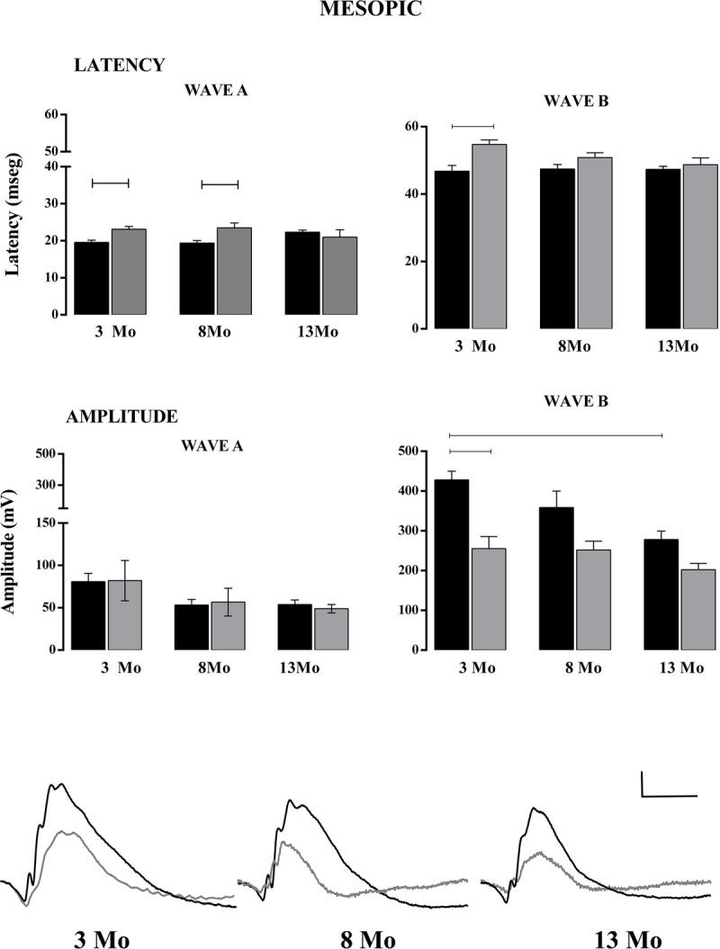 https://cdn.ncbi.nlm.nih.gov/pmc/blobs/2226/8194968/f1f1b83eb25a/jcr-19-214-g5.jpg