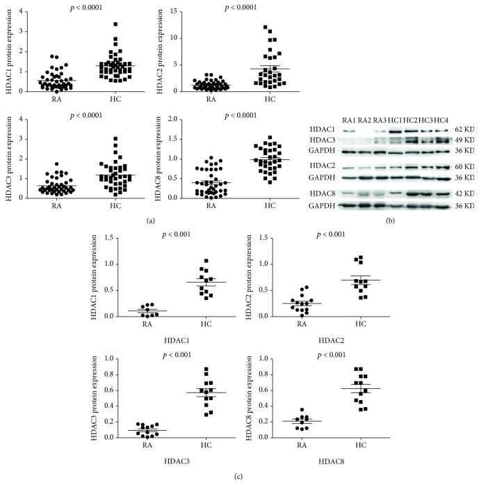 https://cdn.ncbi.nlm.nih.gov/pmc/blobs/2228/6192092/cf7128b158eb/JIR2018-7313515.001.jpg