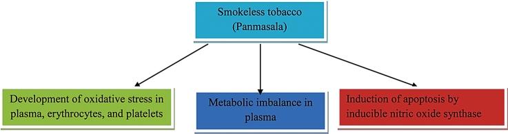 https://cdn.ncbi.nlm.nih.gov/pmc/blobs/2228/7451652/6a8712823c96/ga1.jpg
