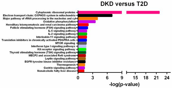https://cdn.ncbi.nlm.nih.gov/pmc/blobs/2228/9331991/6620e6560ac0/ijms-23-08198-g002.jpg