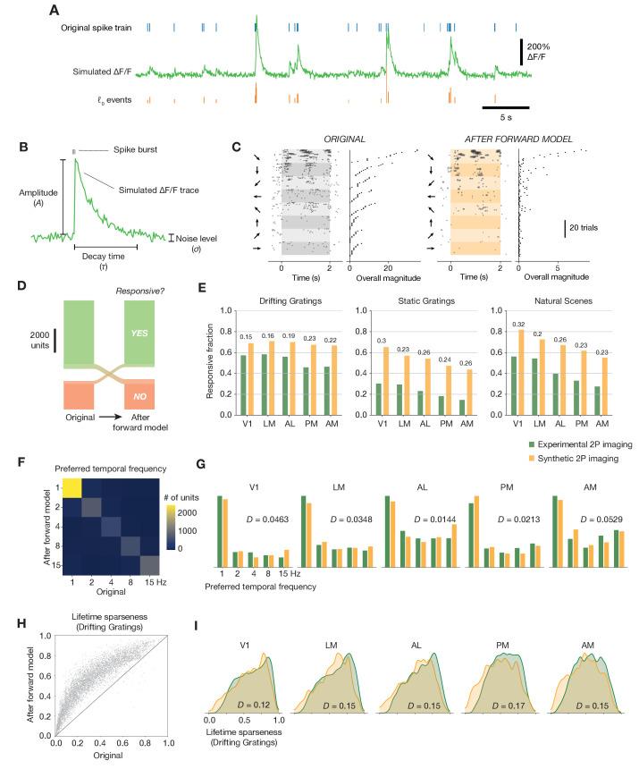 https://cdn.ncbi.nlm.nih.gov/pmc/blobs/2229/8285106/b7088cc62a18/elife-69068-fig5.jpg