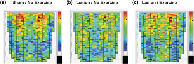 https://cdn.ncbi.nlm.nih.gov/pmc/blobs/222a/12198951/84868329e401/j_tnsci-2025-0374-fig005.jpg