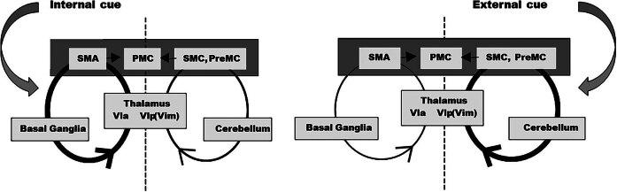 https://cdn.ncbi.nlm.nih.gov/pmc/blobs/222a/12198951/865e2e20cd7b/j_tnsci-2025-0374-fig002.jpg