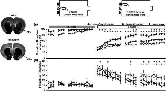 https://cdn.ncbi.nlm.nih.gov/pmc/blobs/222a/12198951/909e1ef702b6/j_tnsci-2025-0374-fig006.jpg