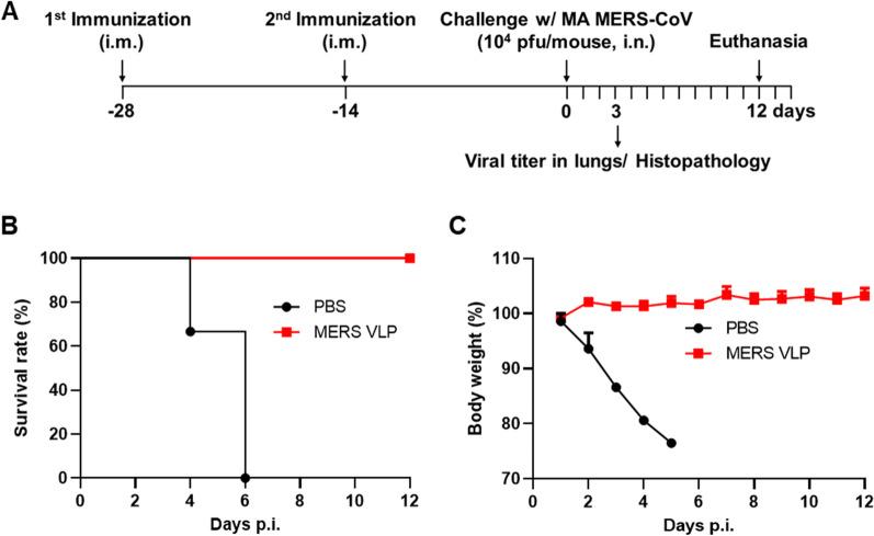 https://cdn.ncbi.nlm.nih.gov/pmc/blobs/222a/9235161/8560afc71664/12985_2022_1844_Fig3_HTML.jpg