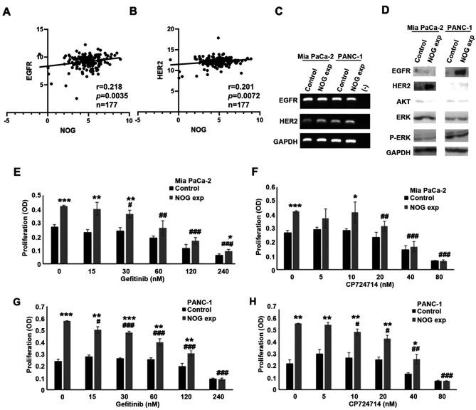 https://cdn.ncbi.nlm.nih.gov/pmc/blobs/222b/12216576/978707723101/cgp-22-571-g0001.jpg