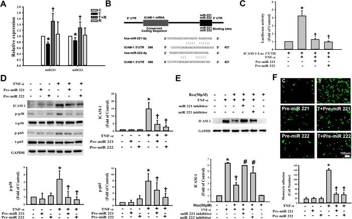 https://cdn.ncbi.nlm.nih.gov/pmc/blobs/222b/5364502/2eff5ae3fca6/srep44689-f5.jpg