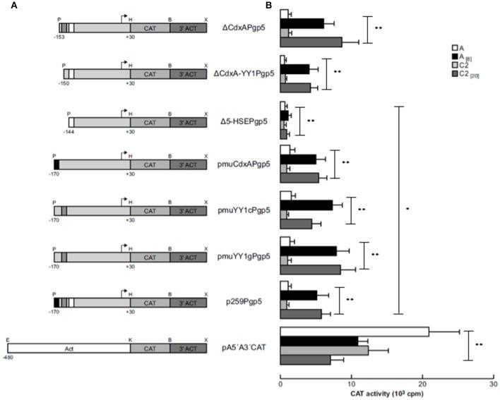 https://cdn.ncbi.nlm.nih.gov/pmc/blobs/222b/5712549/a9e0cc420cb6/fcimb-07-00492-g0002.jpg