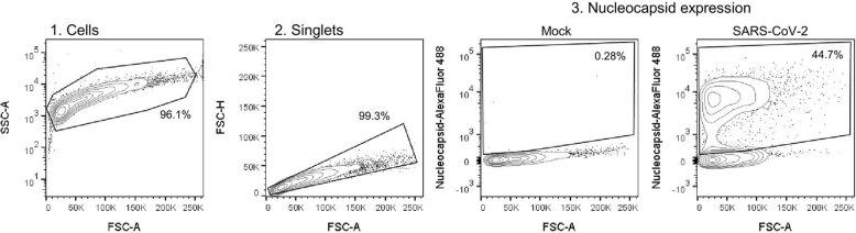https://cdn.ncbi.nlm.nih.gov/pmc/blobs/222d/10847042/8feb3ebaf98a/41564_2023_1588_Fig11_ESM.jpg