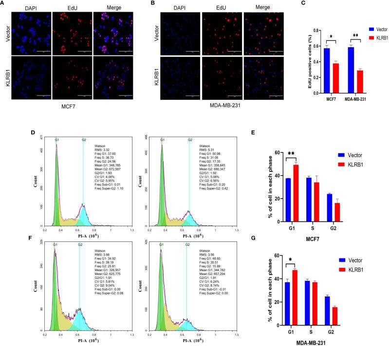 https://cdn.ncbi.nlm.nih.gov/pmc/blobs/222f/10282768/3b2e5fc41d65/fendo-14-1185799-g008.jpg