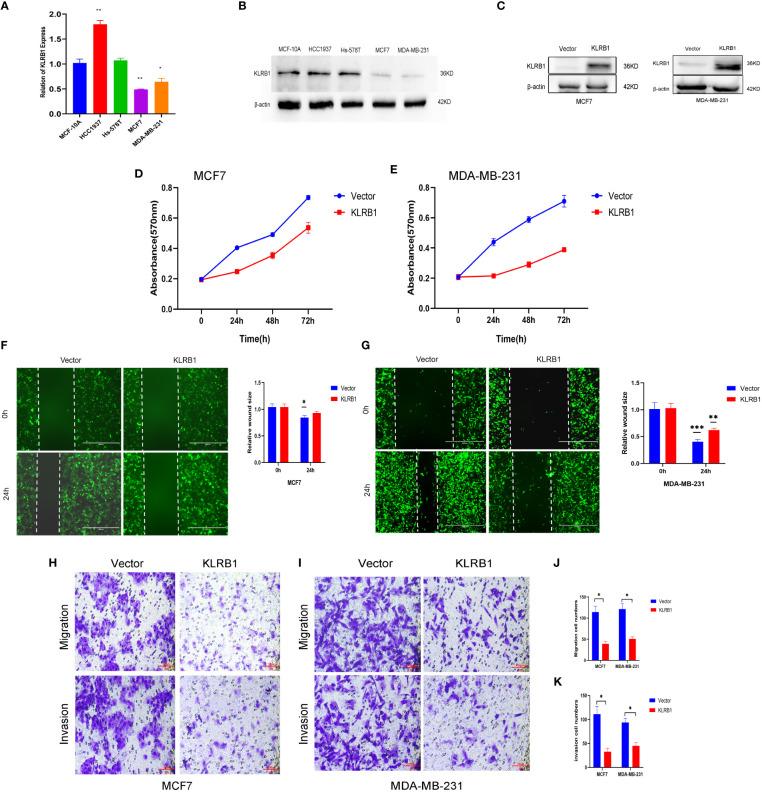 https://cdn.ncbi.nlm.nih.gov/pmc/blobs/222f/10282768/de7fdd83370a/fendo-14-1185799-g007.jpg
