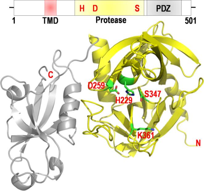 https://cdn.ncbi.nlm.nih.gov/pmc/blobs/2230/10123570/02abfacc9f15/10930_2023_10114_Fig6_HTML.jpg