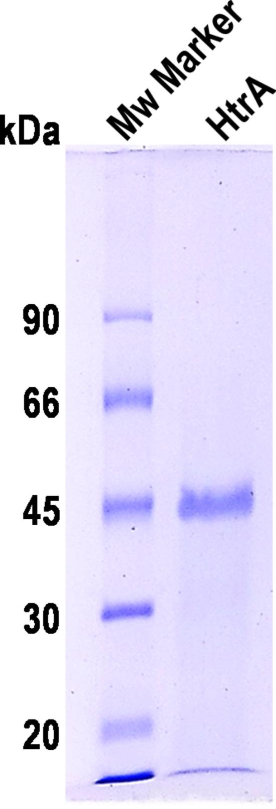 https://cdn.ncbi.nlm.nih.gov/pmc/blobs/2230/10123570/c99115409d69/10930_2023_10114_Fig1_HTML.jpg