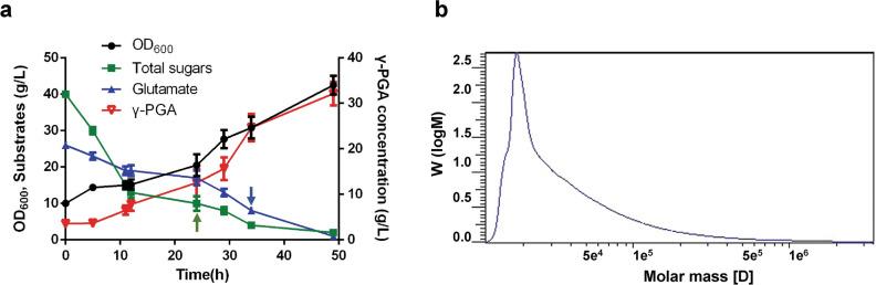 https://cdn.ncbi.nlm.nih.gov/pmc/blobs/2230/9287850/51aab8c77339/12934_2022_1867_Fig5_HTML.jpg