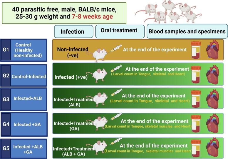 https://cdn.ncbi.nlm.nih.gov/pmc/blobs/2231/10440570/142af5ab1c79/gr7.jpg
