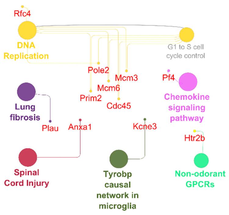 https://cdn.ncbi.nlm.nih.gov/pmc/blobs/2231/9408396/46b619ea3862/ijms-23-08843-g006.jpg