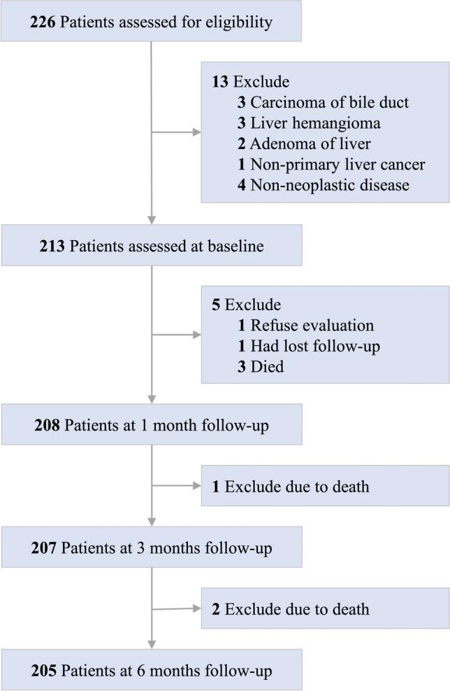 https://cdn.ncbi.nlm.nih.gov/pmc/blobs/2232/11324778/ea55e3ff9c41/520_2024_8790_Fig1_HTML.jpg