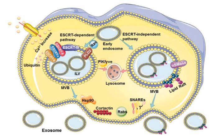 https://cdn.ncbi.nlm.nih.gov/pmc/blobs/2232/12206051/4606e140a108/gr1.jpg