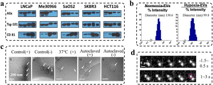 https://cdn.ncbi.nlm.nih.gov/pmc/blobs/2232/12206051/ac1c67eb7056/gr3.jpg