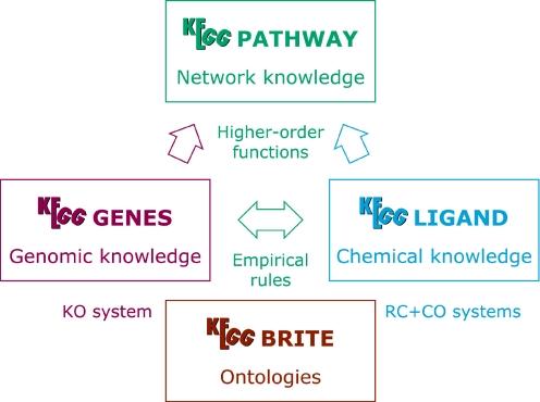 https://cdn.ncbi.nlm.nih.gov/pmc/blobs/2233/1347464/980df2d0b969/gkj102f1.jpg