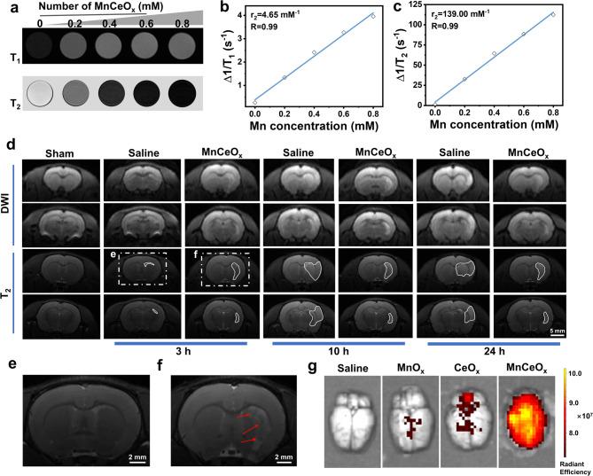 https://cdn.ncbi.nlm.nih.gov/pmc/blobs/2235/12398121/22214ebe13fb/12951_2025_3624_Fig5_HTML.jpg