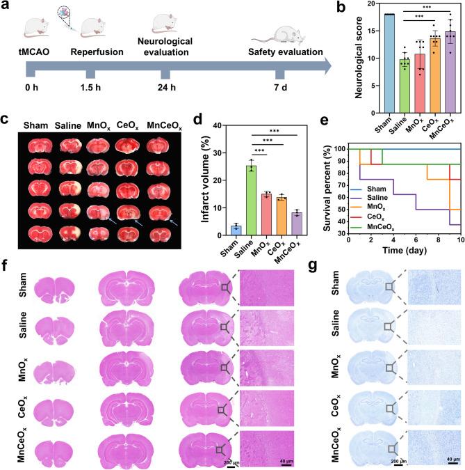 https://cdn.ncbi.nlm.nih.gov/pmc/blobs/2235/12398121/3ad06140e2bc/12951_2025_3624_Fig6_HTML.jpg