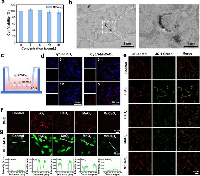 https://cdn.ncbi.nlm.nih.gov/pmc/blobs/2235/12398121/4f34b45f6b31/12951_2025_3624_Fig4_HTML.jpg