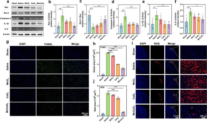 https://cdn.ncbi.nlm.nih.gov/pmc/blobs/2235/12398121/862ec431ca8c/12951_2025_3624_Fig7_HTML.jpg