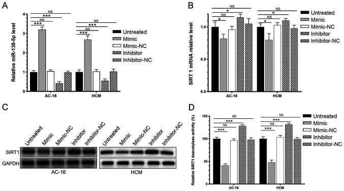 https://cdn.ncbi.nlm.nih.gov/pmc/blobs/2238/7893756/6278175353d8/mmr-23-04-11915-g02.jpg
