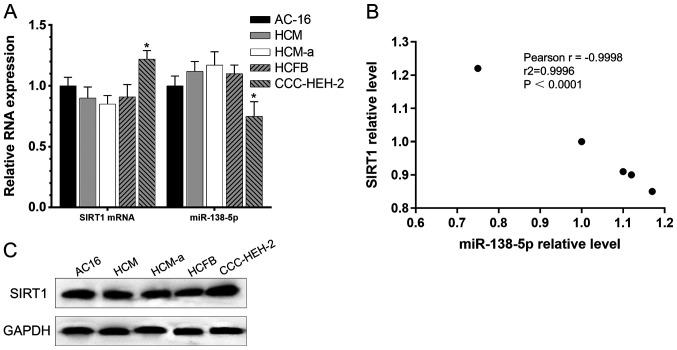 https://cdn.ncbi.nlm.nih.gov/pmc/blobs/2238/7893756/a325ba36fdff/mmr-23-04-11915-g00.jpg