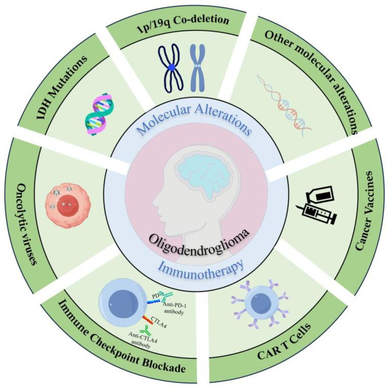 https://cdn.ncbi.nlm.nih.gov/pmc/blobs/2239/12108979/c359633349fe/biomedicines-13-01133-g001.jpg