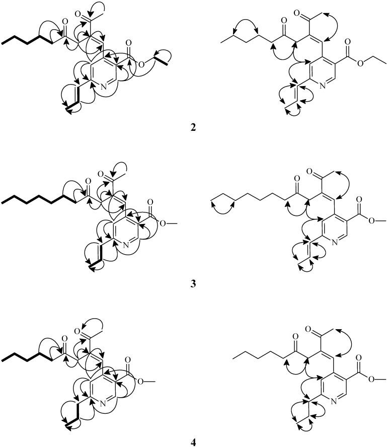 https://cdn.ncbi.nlm.nih.gov/pmc/blobs/223a/6264138/f6757d8726c3/molecules-16-04719-g002.jpg