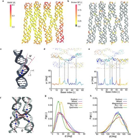 https://cdn.ncbi.nlm.nih.gov/pmc/blobs/223a/6764110/04c78e27d242/nn9b05650_0002.jpg
