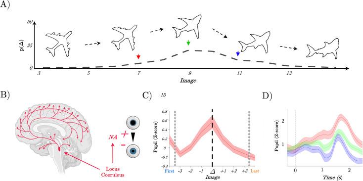 https://cdn.ncbi.nlm.nih.gov/pmc/blobs/223b/12180899/0d1f21a3b7c4/elife-93191-fig1.jpg