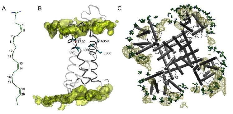 https://cdn.ncbi.nlm.nih.gov/pmc/blobs/2240/4709198/c2c1b98553a1/pcbi.1004704.g001.jpg