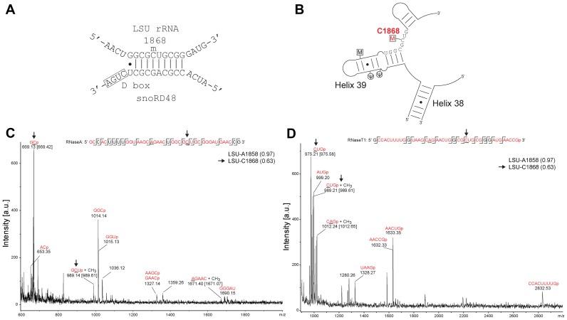 https://cdn.ncbi.nlm.nih.gov/pmc/blobs/2240/5027482/d42dcb4a5e99/gkw482fig2.jpg