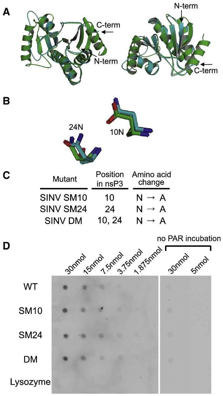 https://cdn.ncbi.nlm.nih.gov/pmc/blobs/2244/7103399/34c02a1787f4/gr1_lrg.jpg