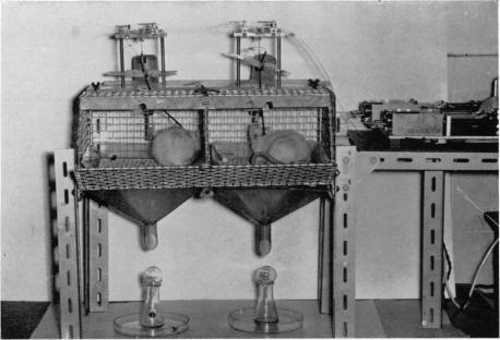 https://cdn.ncbi.nlm.nih.gov/pmc/blobs/2246/1359737/b97c5370751f/jphysiol01276-0188-a.jpg