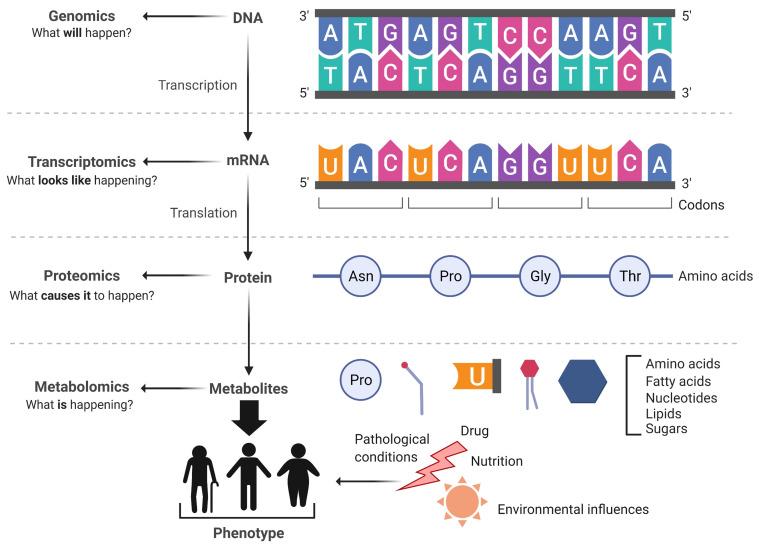 https://cdn.ncbi.nlm.nih.gov/pmc/blobs/2247/8540033/79b436b1adee/metabolites-11-00685-g002.jpg