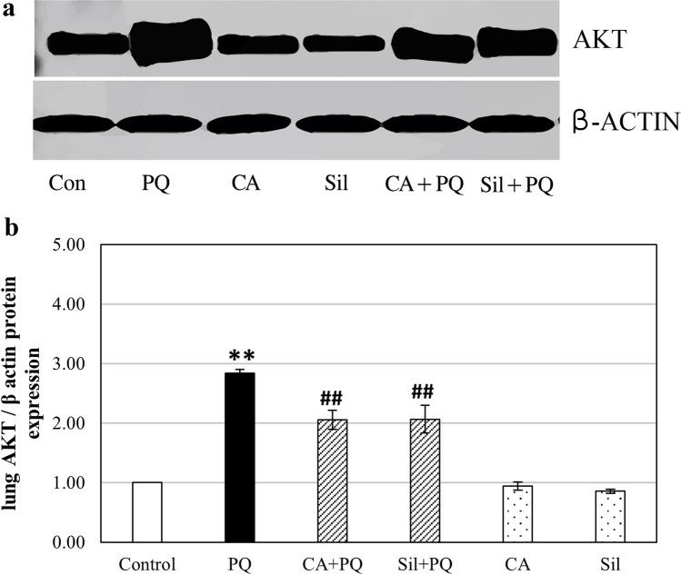 https://cdn.ncbi.nlm.nih.gov/pmc/blobs/224b/11978700/9dd6311653e1/210_2024_3511_Fig5_HTML.jpg