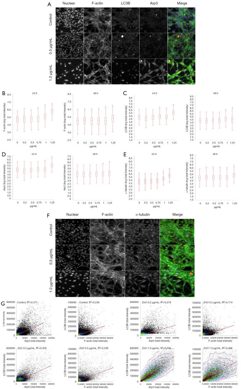https://cdn.ncbi.nlm.nih.gov/pmc/blobs/224c/9358518/2602fcca76c7/atm-10-13-751-f8.jpg