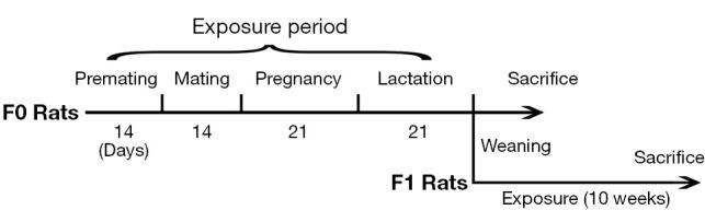 https://cdn.ncbi.nlm.nih.gov/pmc/blobs/224c/9358518/2ac1160a87fa/atm-10-13-751-f1.jpg