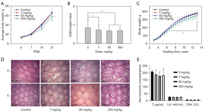 https://cdn.ncbi.nlm.nih.gov/pmc/blobs/224c/9358518/fad010666901/atm-10-13-751-f5.jpg